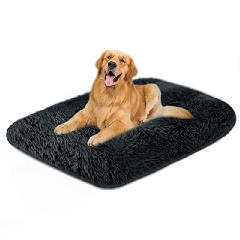 Moistu Dog Bed