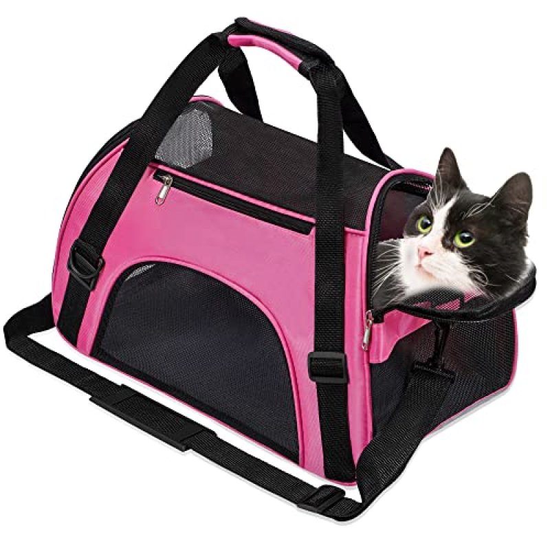 Foldable Pet Carrier Bag