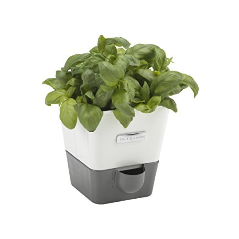 Cole & Mason Herb Planter