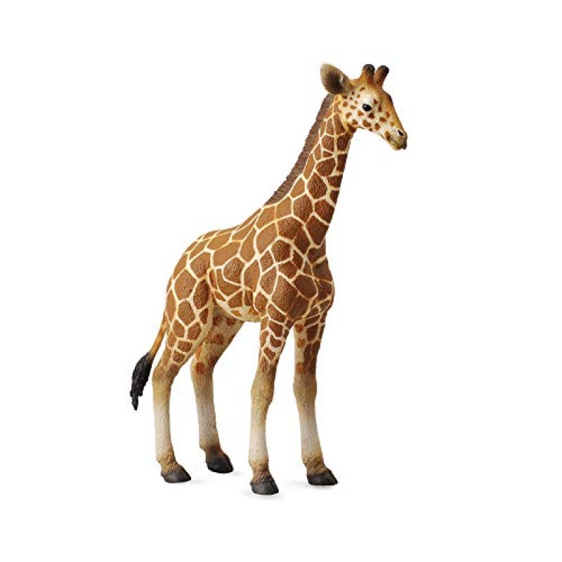 CollectA Giraffe Calf