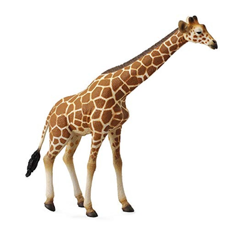 CollectA Giraffe Figurine