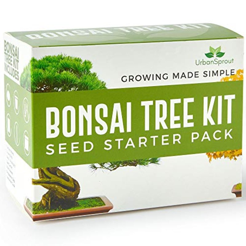 Bonsai Tree Kit