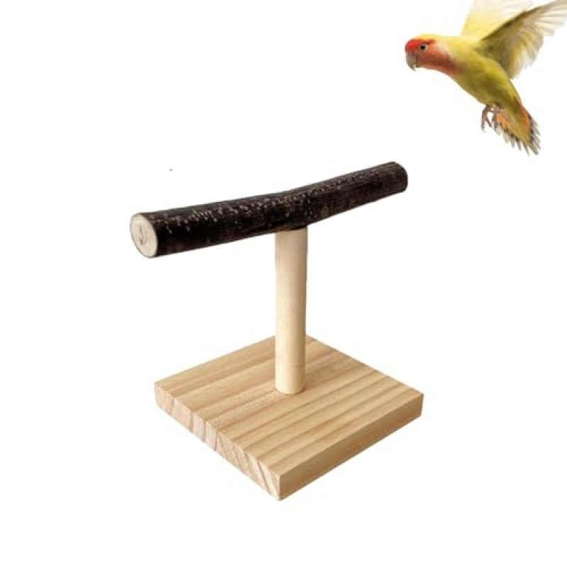 Wooden Parrot Play Stand
