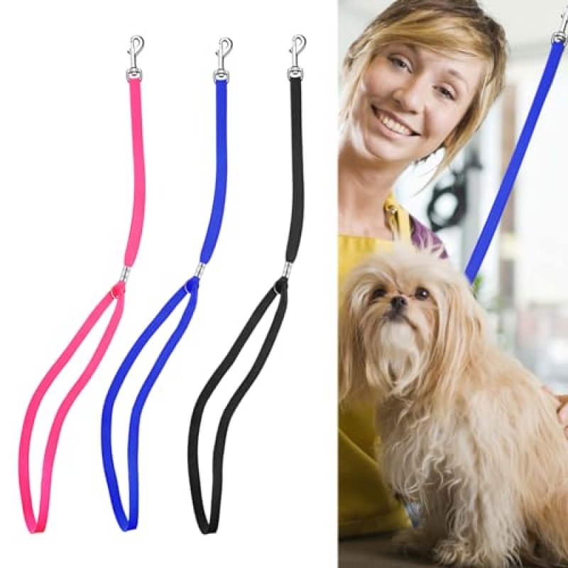 Noose Dog Restraint Set
