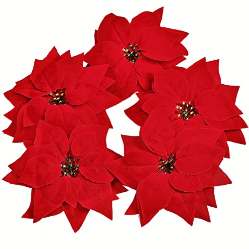 Roqueen Poinsettia Flowers