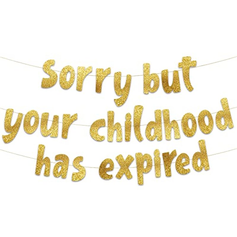 Sorry But Your Childhood Has Expired Banner