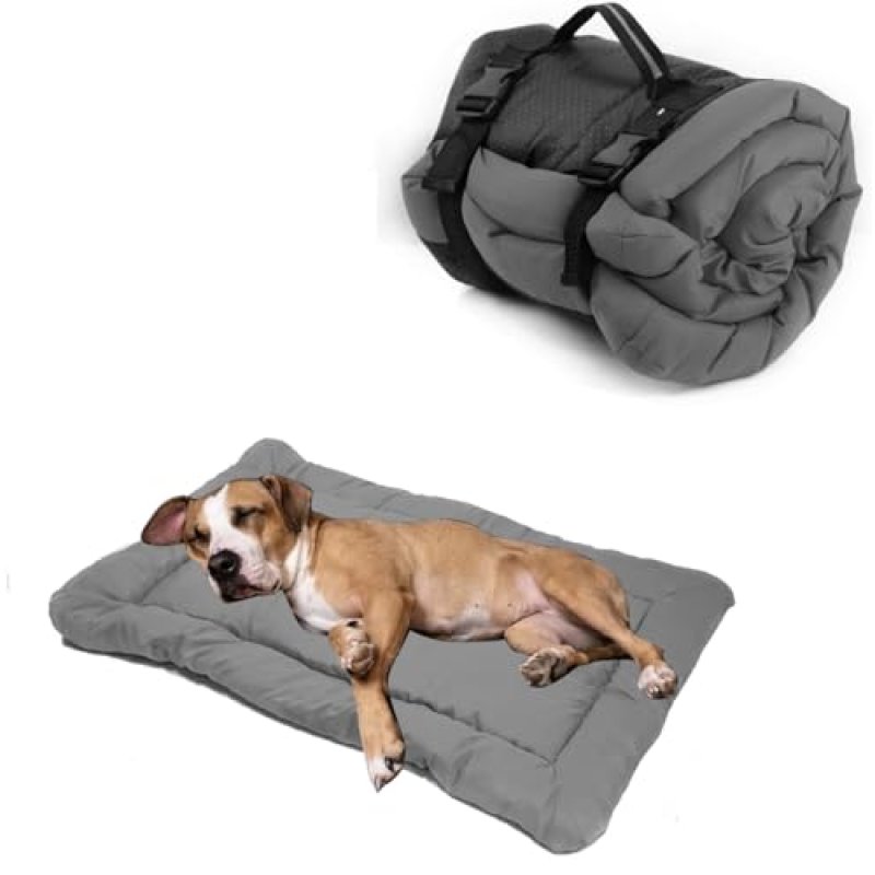 Northogo Dog Bed & Blanket