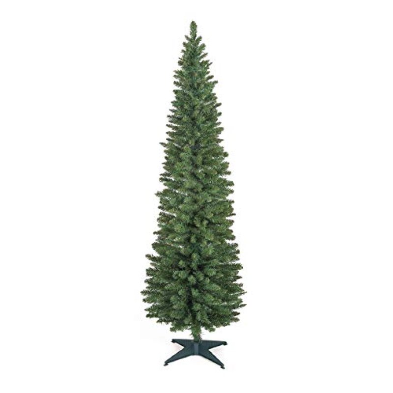 Norway Spruce Slim Tree