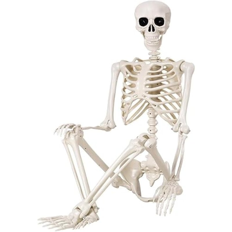 QUSTGO Posable Skeleton, 90cm