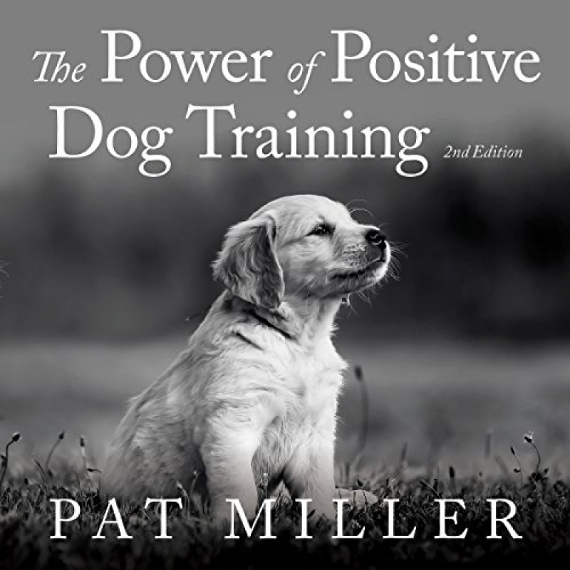 Positive Dog Training
