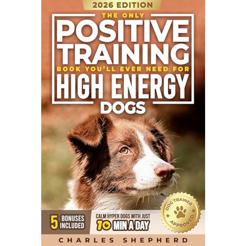 Positive Training for High-Energy Dogs