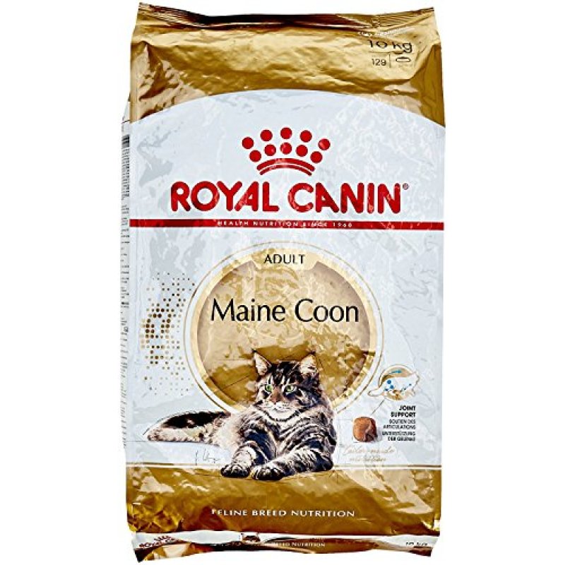 Royal Canin Maine Coon