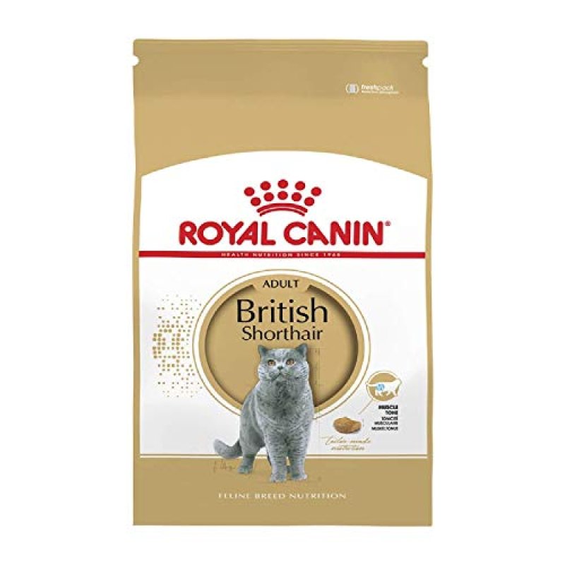 Royal Canin Cat Food