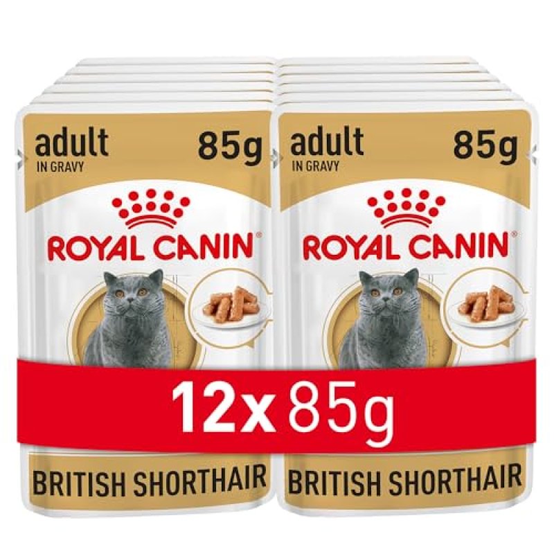 Royal Canin Wet Cat Food