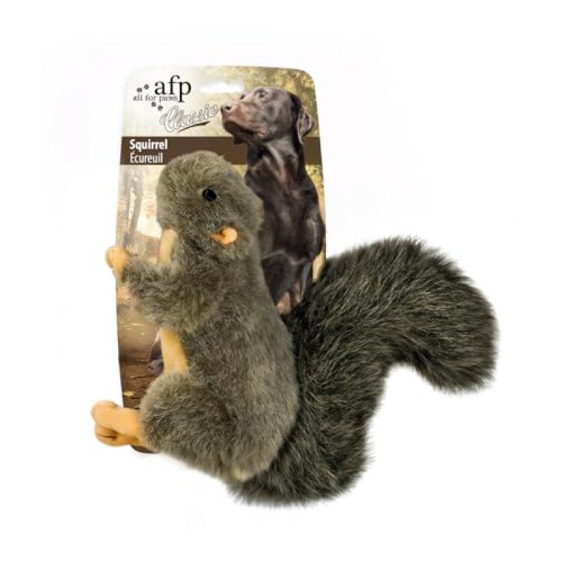 Squirrel Dog Toy with Squeaker