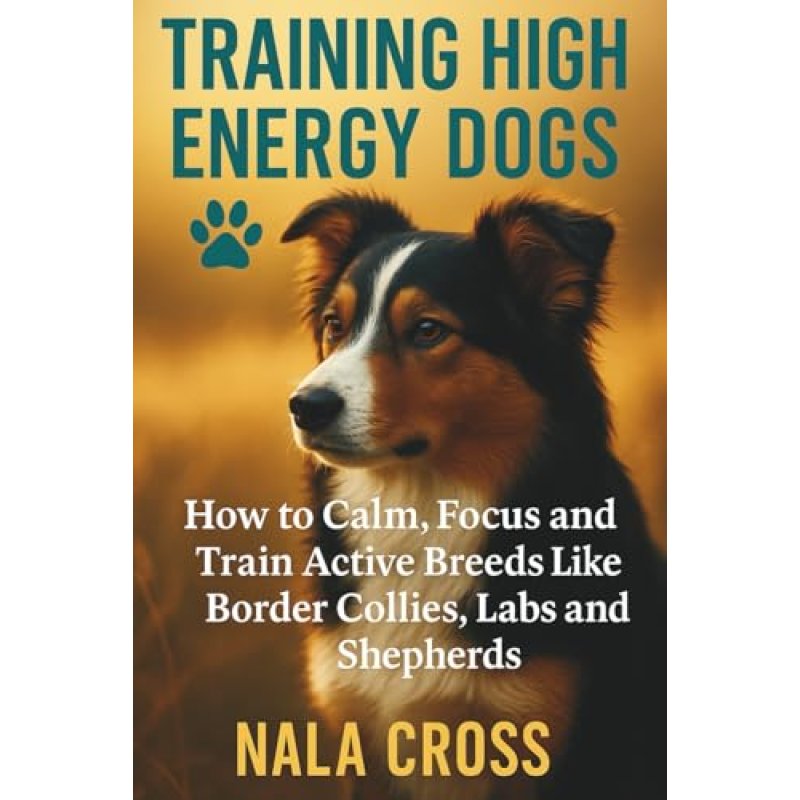Training High-Energy Dogs