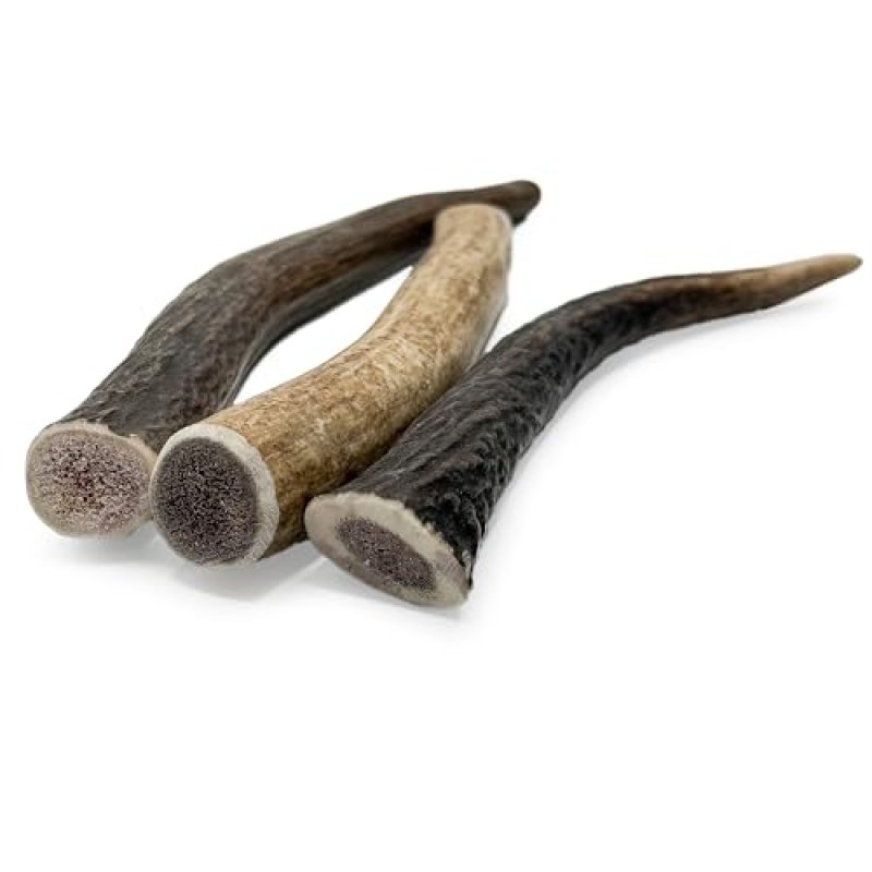 Treaby Deer Antler Chews