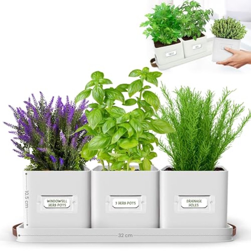 Green Thumbz Herb Pots