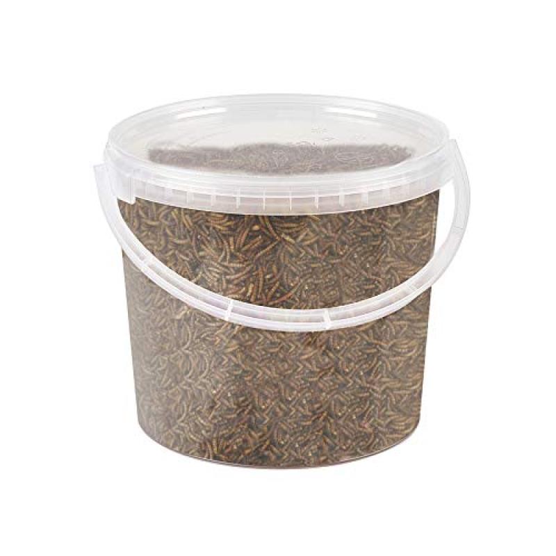 Premium Mealworms