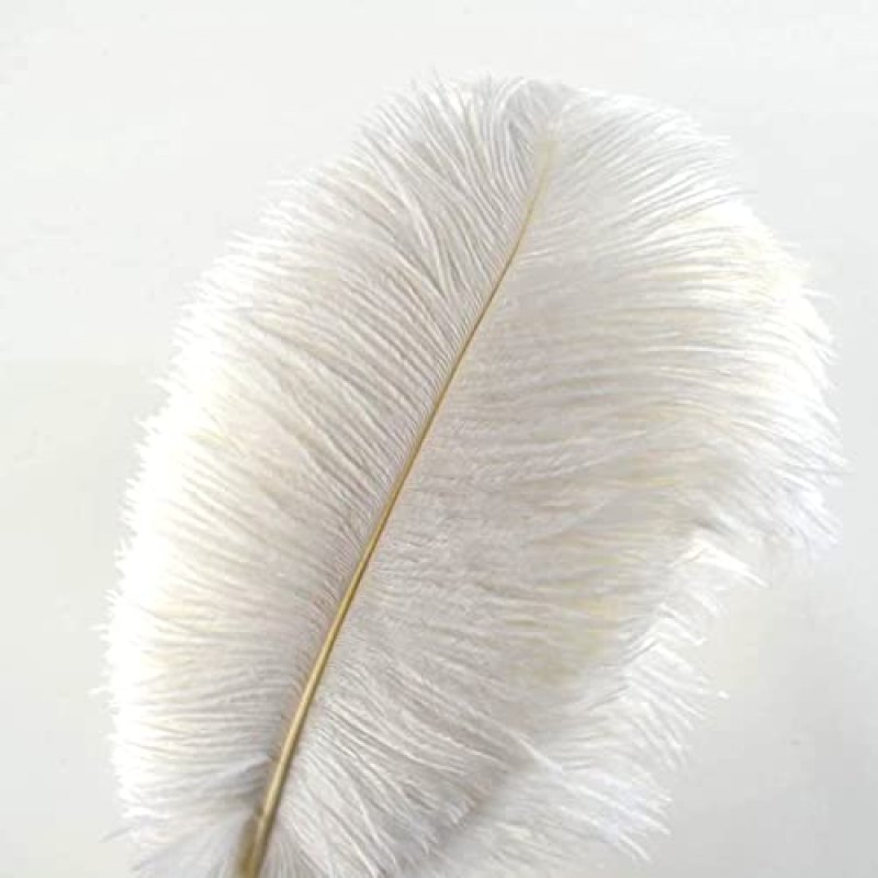 Crenze 10pcs ostrich feathers 12-14inch(30-35cm)…
