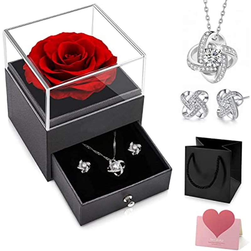 Preserved Rose & Necklace Gift
