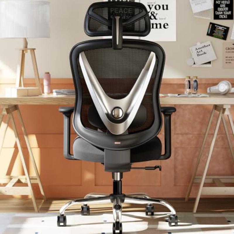 HOLLUDLE Ergonomic Office Chair