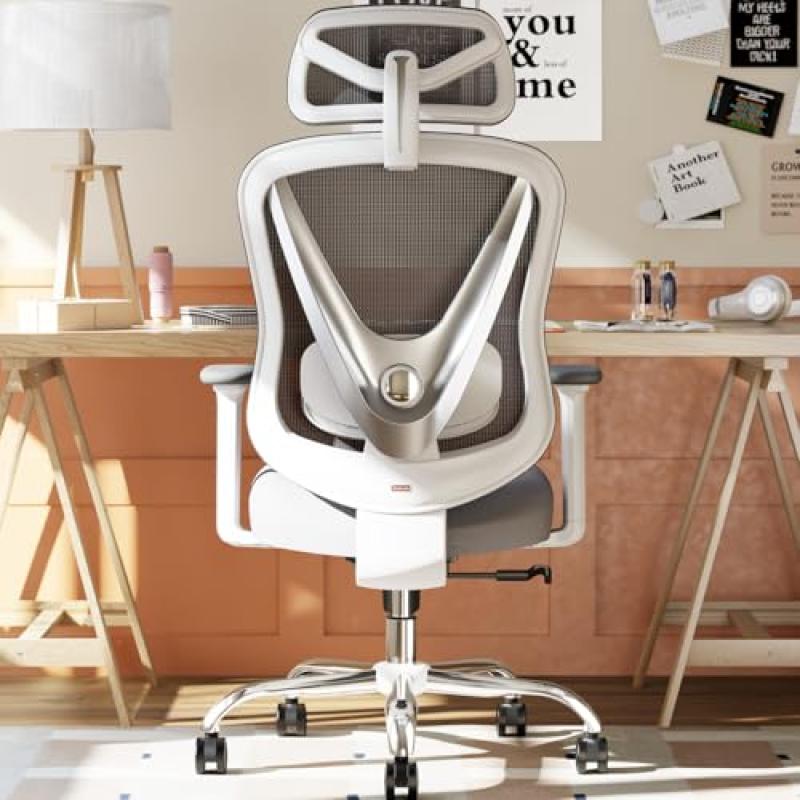 HOLLUDLE Ergonomic Office Chair