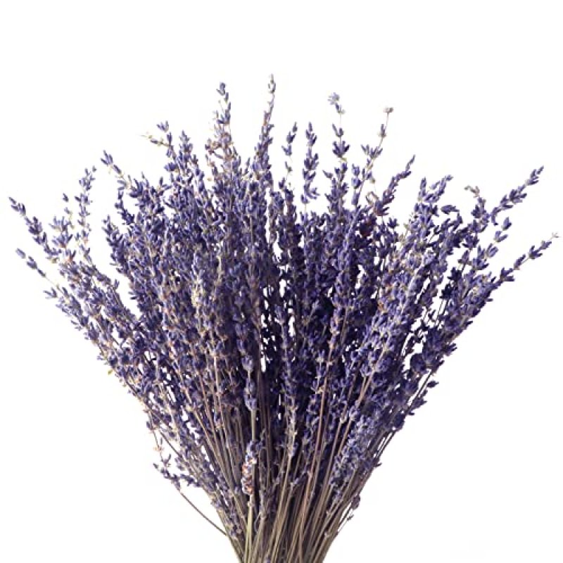 Dried Lavender Flowers