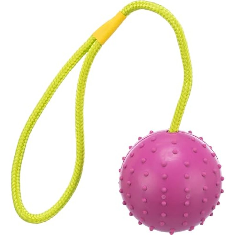 Trixie Dog Toy