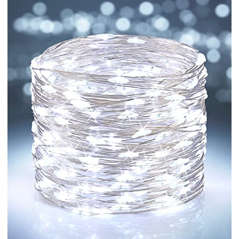 BrizLabs Indoor String Lights
