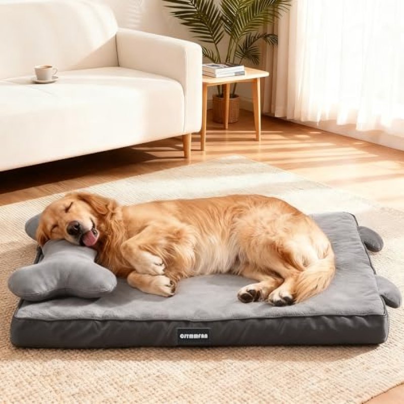Orthopedic Dog Bed
