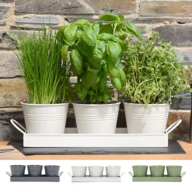 CKB Ltd Herb Plant Pots