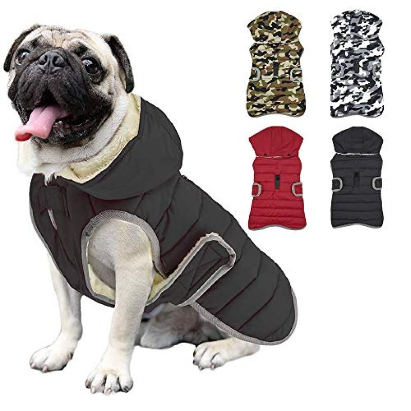 Etechydra Dog Jacket