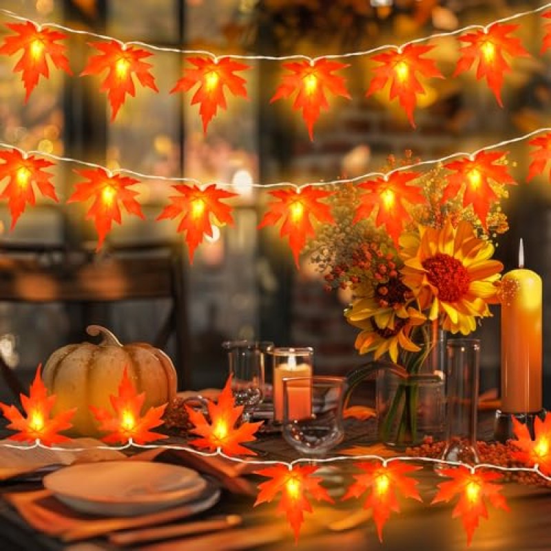Etopgo Autumn Decoration Lights,3M20 LED Fall…