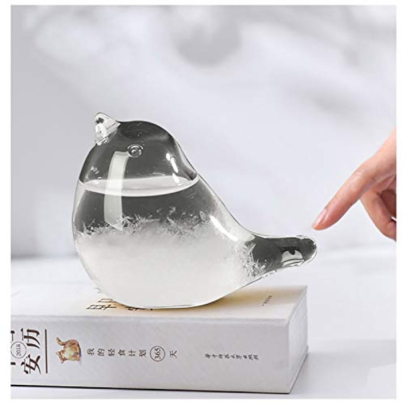 SUNJULY Storm Glass Barometer