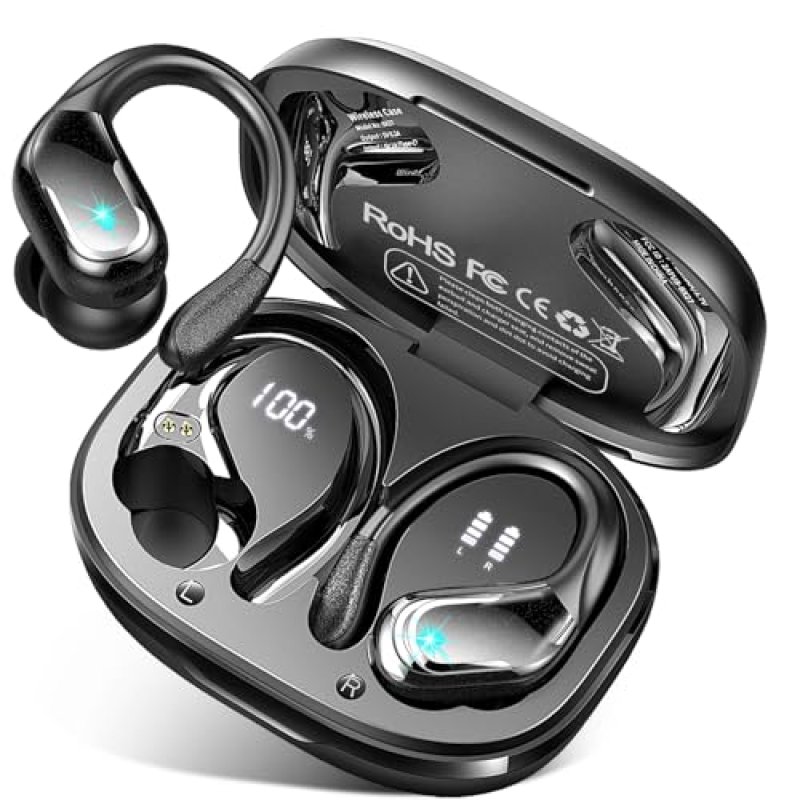 Rulefiss Wireless Earbuds