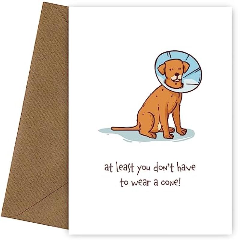Humorous Get Well Soon Cards