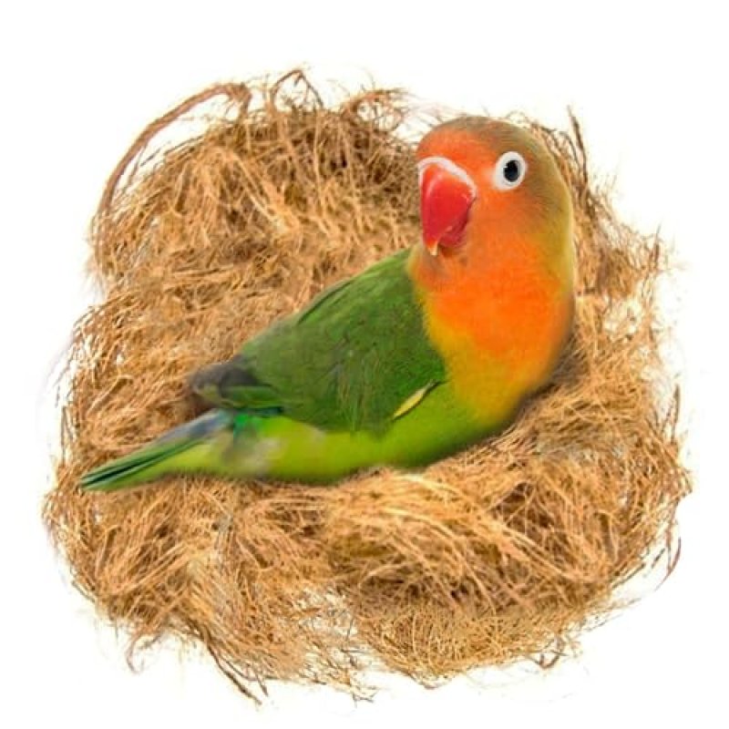 SunGrow 45g Finch Coconut Fiber, Loose Bedding…