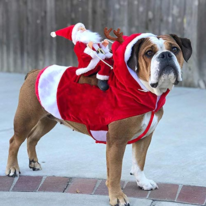 JK Running Santa Dog Costume