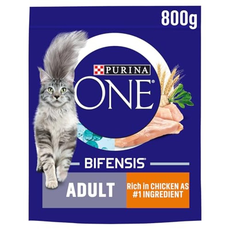 Purina One Dry Cat Food