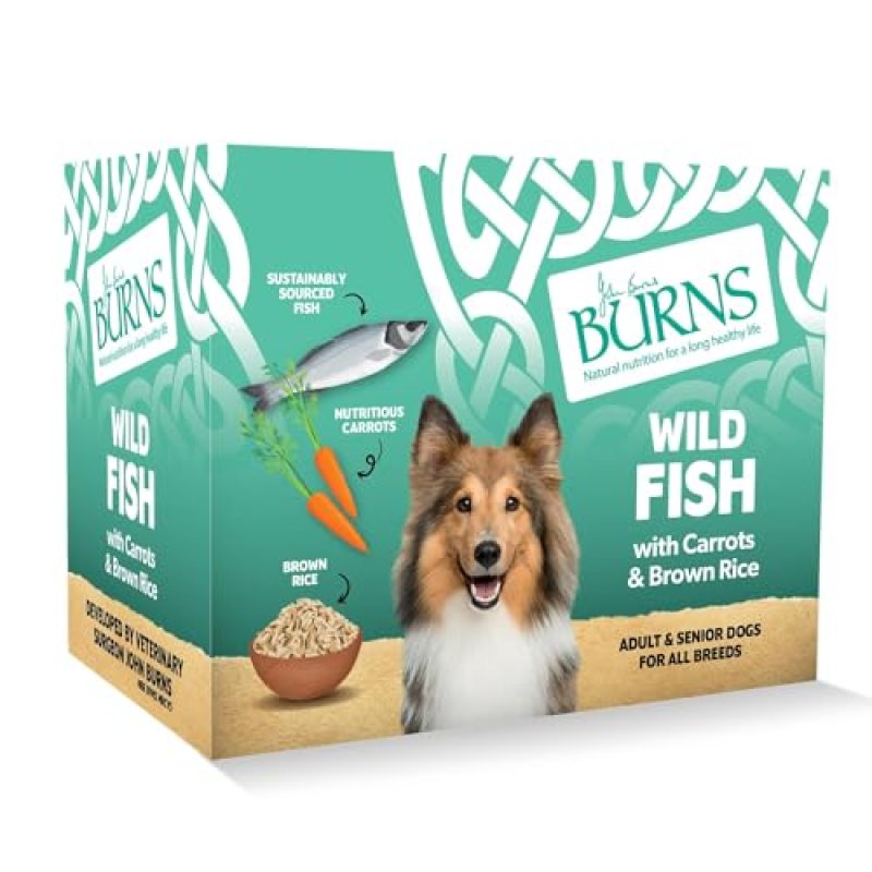Burns Adult & Senior Wet Dog Food