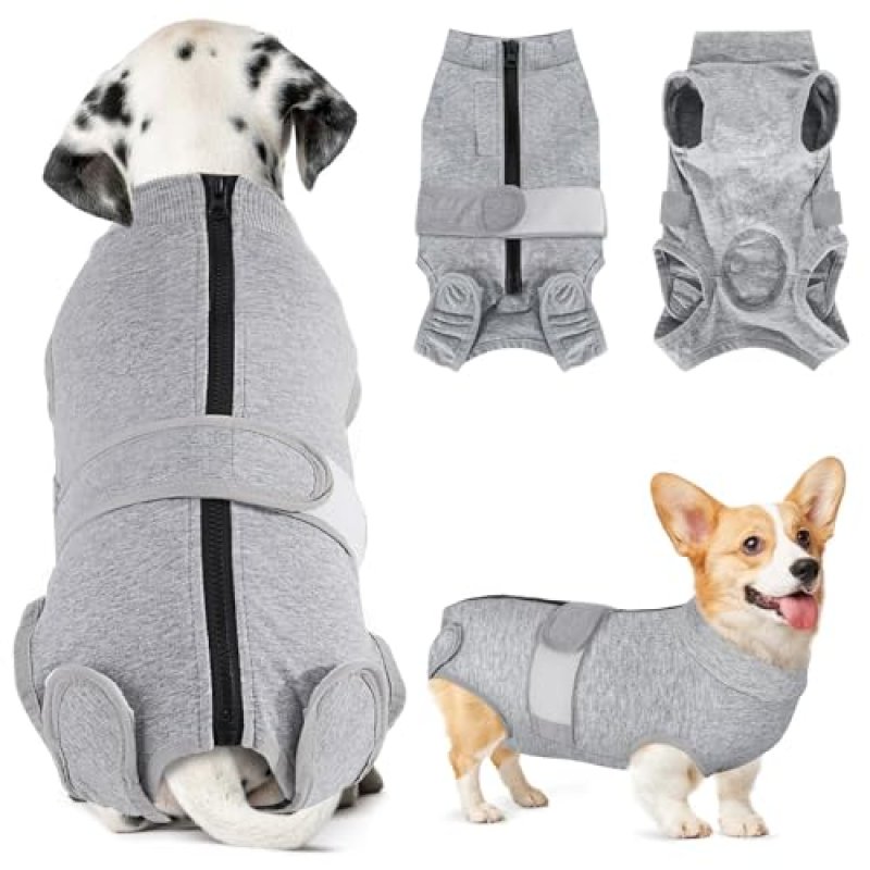 Eyein Dog Recovery Suit