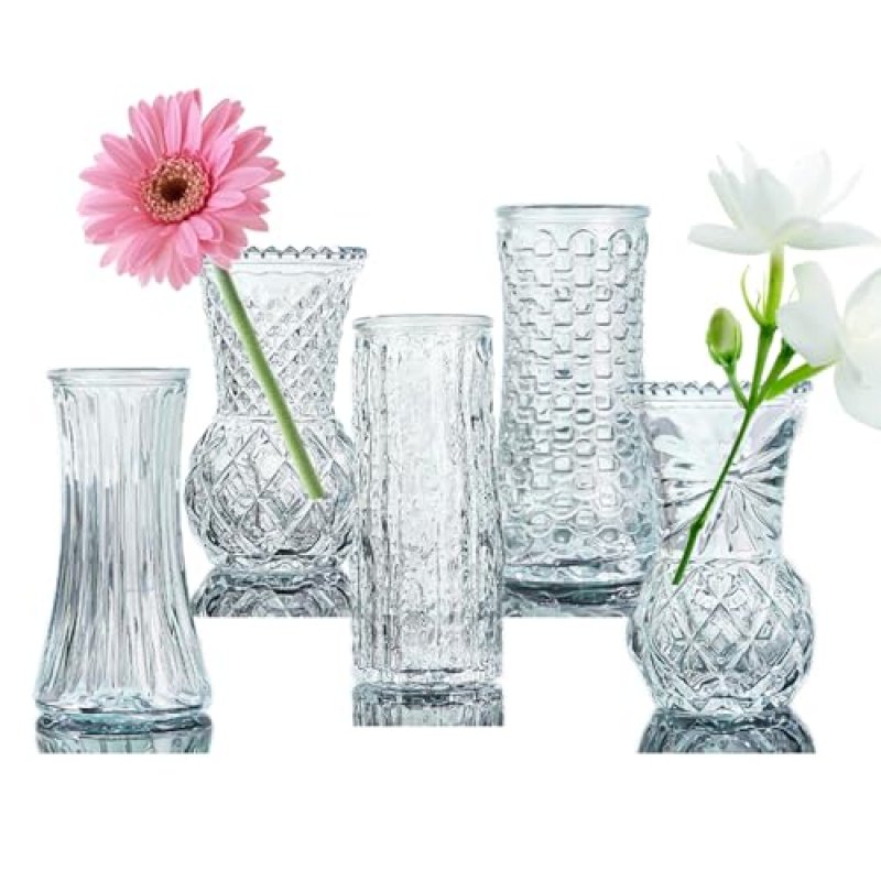 Eylkoi Glass Vase Set