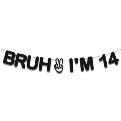 14th Birthday Banner
