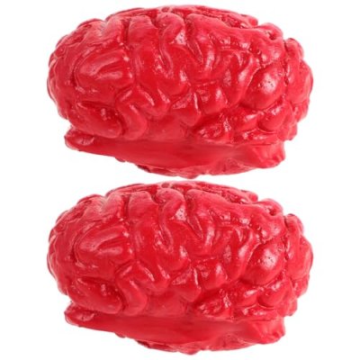 YARNOW 2 Pcs Fake Brain Prop Halloween Body Organ…