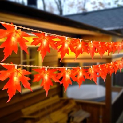 BOLWEO 3M Maple Leaf Fairy Lights, 20LED…