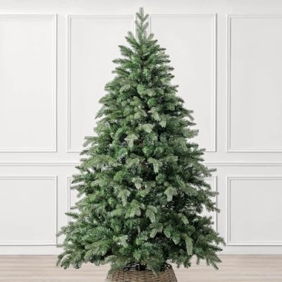 CHRISTOW 6ft Fraser Fir Tree