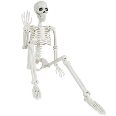 JOLCEEY 90cm Skeleton