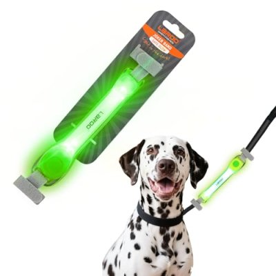 LaRoo Light-Up Dog Collar