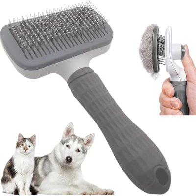 Laadi Self-Cleaning Brush